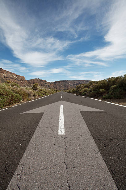 istock Asphalt road lanes with arrow sign, future and success concept 2207164021