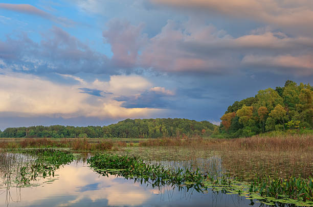 istock Summer Dawn East Three Lakes 2207164852