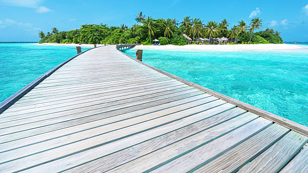 istock Boardwalk into tropical paradise island 2207165203