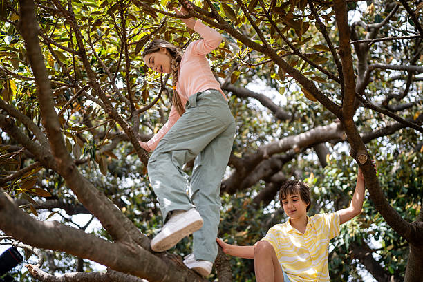 Teenage girl and her younger brother have an exciting time climbing a tree in the park, embracing the joys of childhood
