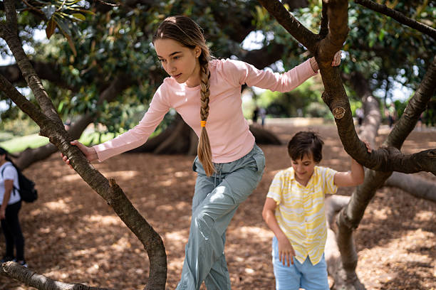 istock Siblings Having Fun Climbing a Tree in the Park 2207166972