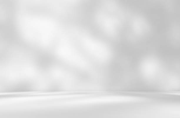 istock Empty white room studio with leaves shadow overlay effect for product presentation display. 2207168283