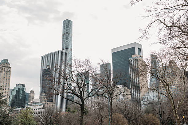 Leafless trees frame the iconic Manhattan skyline on a cloudy winter day. Skyscrapers stand tall amidst nature, blending urban and natural scenes for cityscape photography.