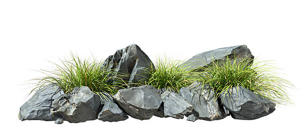istock Rocks pile and grass weed cut-out on white backgrounds 3d rendering 2207177022