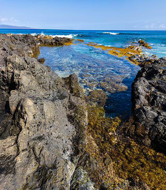istock Tide Pools on The Volcanic Shoreline Below The Ironwood Cliffs 2207185236