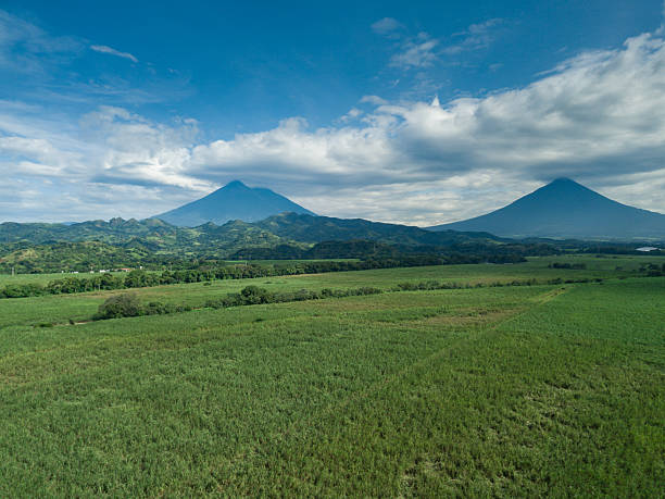 A drone captured an aerial view of a sugarcane field with volcanoes in the background and a blue sky.