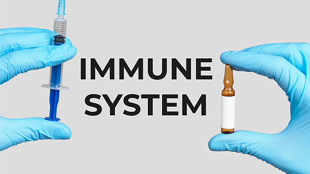 istock immune system importance of disease prevention through vaccination 2207186118