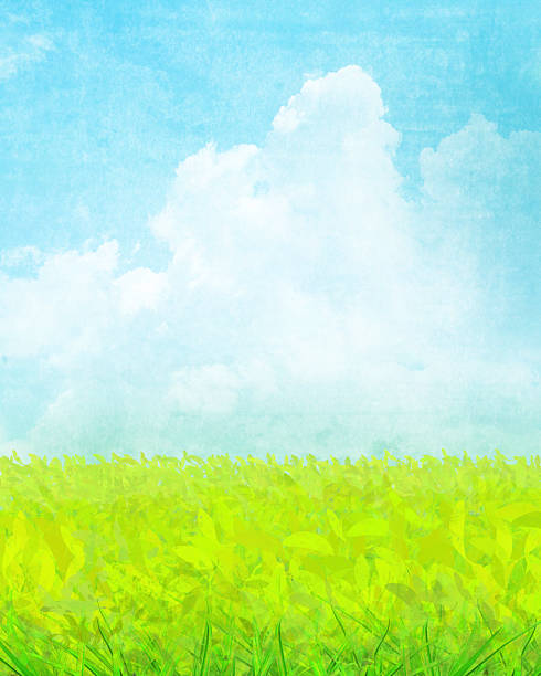 istock Watercolor Painting of Cumulus Clouds and Grass - Spring and Summer 2207187088