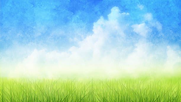 istock Watercolor Painting of Cumulus Clouds, Grass 2207187613