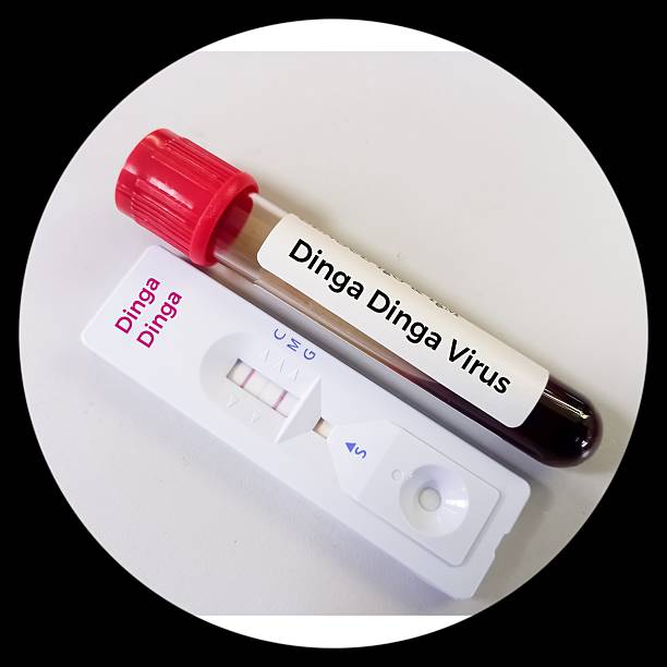 istock Dinga Dinga Virus test, dinga dinga meaning “shaking like dancing