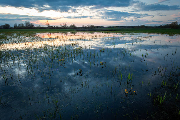 Meadows and rivers at dusk