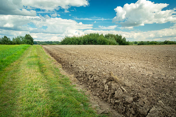 istock A path by a ploughed rural field and a clear sky 2207190153