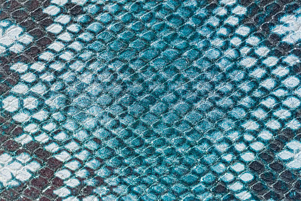 istock Snake texture close-up, turquoise navy scale pattern. Exotic surface in fashion scheme. Colorful skin texture with detailed scale pattern, organic reptilian leather, for background, copy space 2207194193