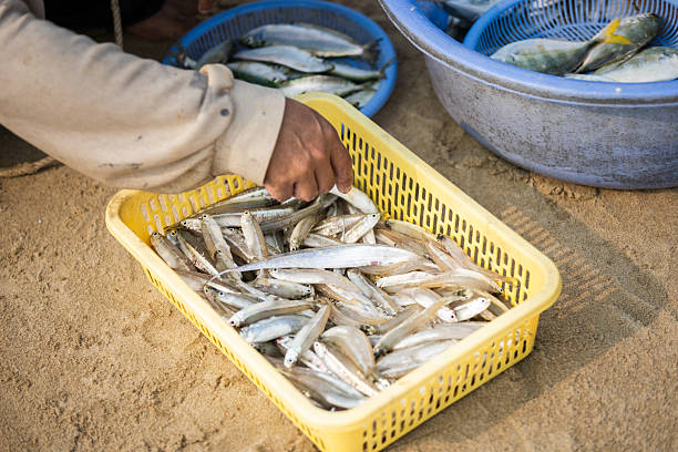istock Vietnamese Fisherman is selling fresh fish on the beach. 2207199698