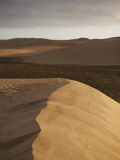 istock Sand dune at the sunset in Maspalomas, Gran Canaria 2207200373