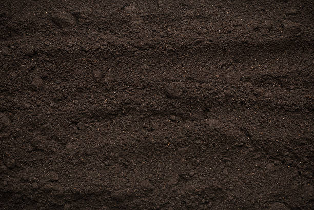 istock Black land for plant background. Top view. 2207202663
