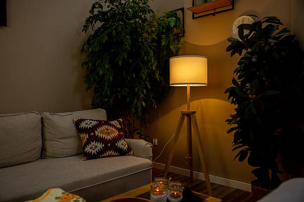 istock A Cozy Living Room Ambiance Infused with Soft Lighting and Beautiful Greenery Elements 2207209567