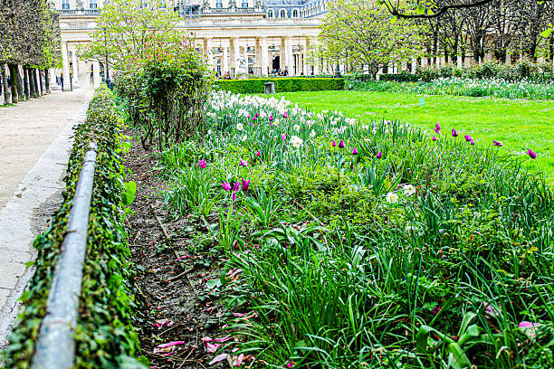 Image of the beautiful gardens of the Palais Royal in Paris. Image taken in March 2024