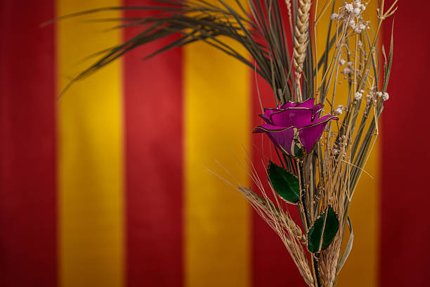 Glass rose with spikes and dried flowers on a Catalan flag, Spain, Sant Jordi festival
