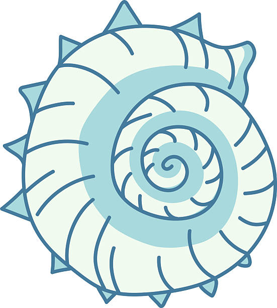 Spike Shell Designs 3,400+ Spiked Shell Stock Photos, Pictures & Royalty-Free Images - iStock