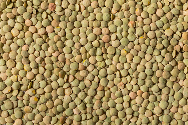 istock Dry Raw Organic Green Lentils 2207218948