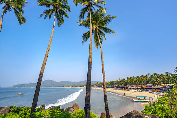 istock Scenic Beach View with Palm Trees in Goa, India 2207221019
