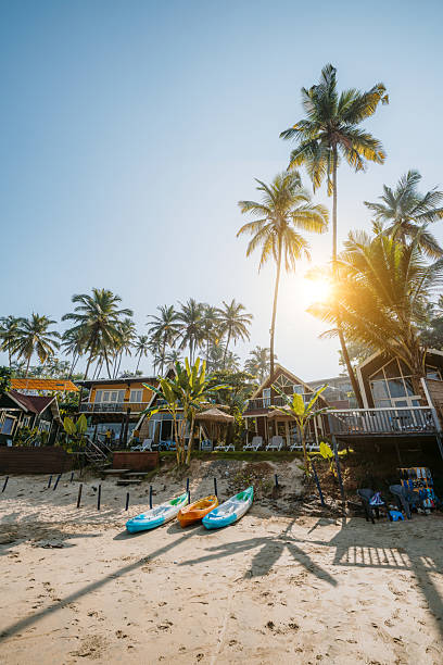 istock Sunlit Beachfront Villas with Palm Trees and Kayaks in Goa, India 2207221283