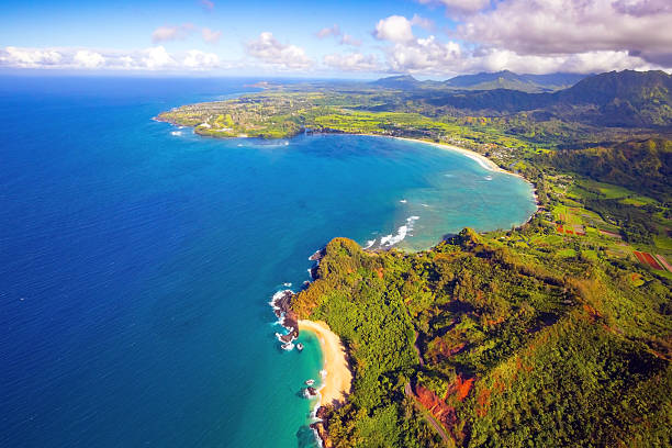 istock Kauai from a bird's eye view 2207229488