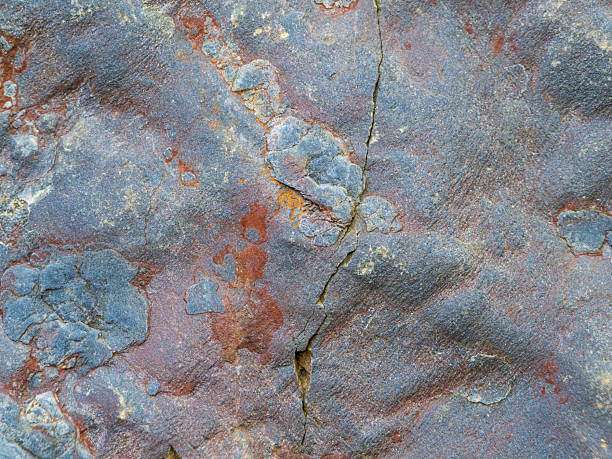 istock Full frame background of a rock in nature outdoors covered with lichens 2207231350