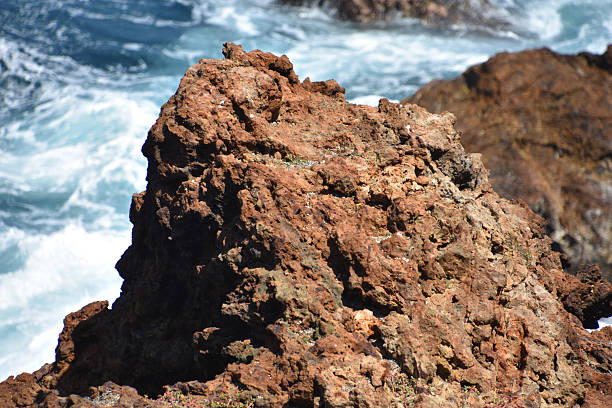 Red lava rock outcropping along the coast of Aruba.