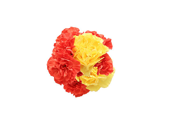 istock Bouquet of carnation isolated on a white background. 2207237986