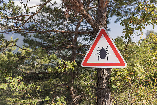 istock Tick parasite warning sign on the tree at a forest entry 2207239838