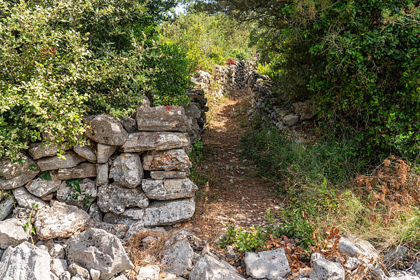 istock Stony wall, between foot path in nature, Croatia 2207241871