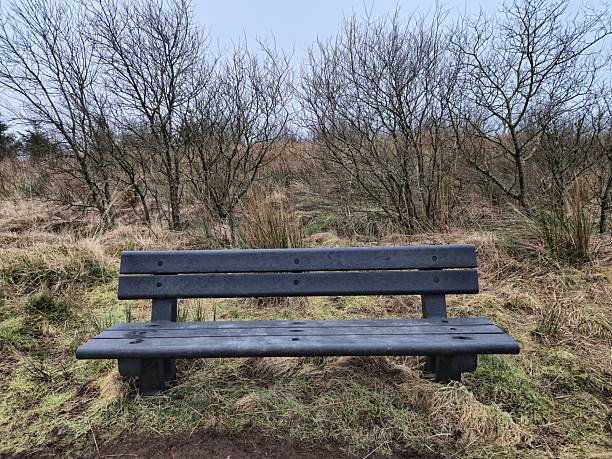 A park bench at a grassland,  Eaglesham Moor, Glasgow, Scotland