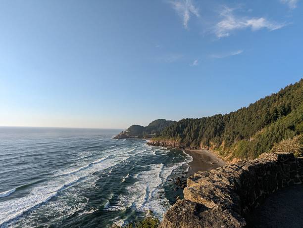 istock Where the forest meets the sea 2207248500