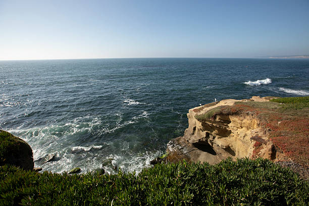 The beauty of the Pacific Ocean can be seen in its vast expanse of waters. Laguna Beach is a vacation destination of many. The view of the ocean creates a peaceful setting.