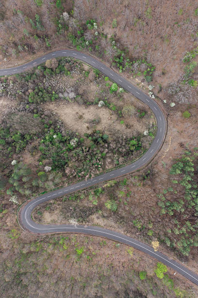 istock Winding mountain road in early spring forest 2207255938