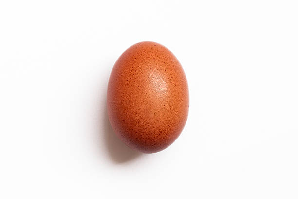 istock Brown egg with soft shadow isolated on white background. Concept of minimalism. 2207259080