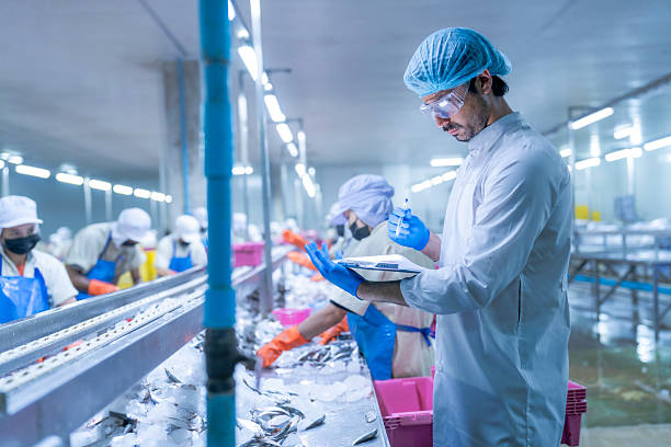 istock Workers in a food processing plant wearing protective gear, sorting fish on a conveyor belt into pink crates, supervised by a manager with a clipboard, ensuring hygiene and quality control. 2207259392