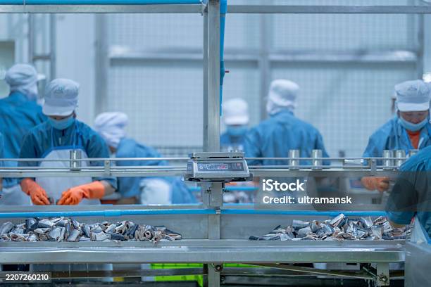Packing Process Supervisor A Food Processing Supervisor In Protective Gear Inspecting Packaging ...