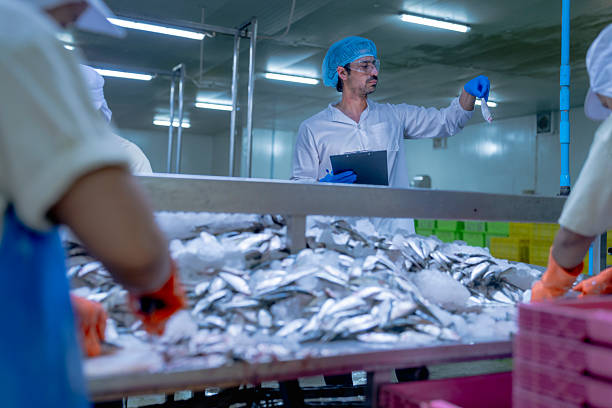 istock A supervisor in a food processing plant wearing protective gear, inspecting a fish while holding a clipboard, emphasizing quality control, hygiene, and safety in the seafood production process. 2207261355
