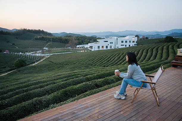 asian female looking away while sitting on chair on moutian during sunset