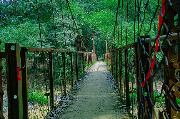 Young woman mountain bikes across suspension bridge over river, Whistler, B.C.