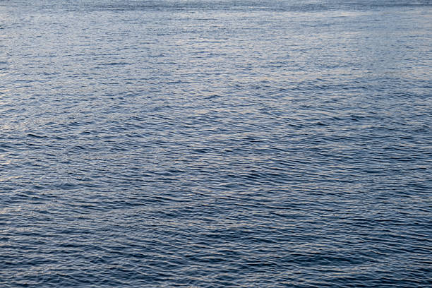istock sea surface and small waves on the water. 2207275632