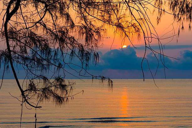 istock Sunrise and silhouette in morning 2207277289