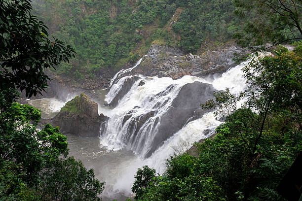 Barron Falls in Full Flow, Showcasing Nature's Beauty and Strength