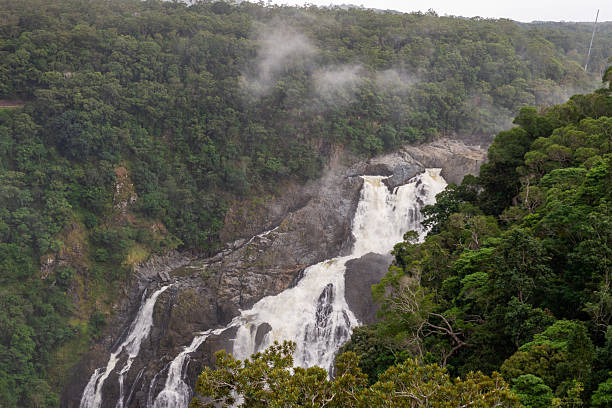 istock Barron Falls, Cairns, Queensland, Australia. 2207288945