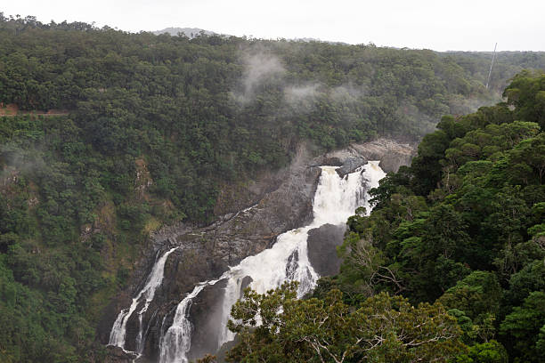istock Barron Falls, Cairns, Queensland, Australia. 2207289037