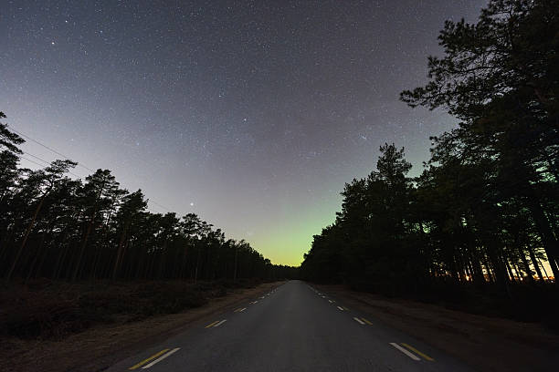 Empty night road through pine forest under starry sky and faint green aurora borealis glow.
