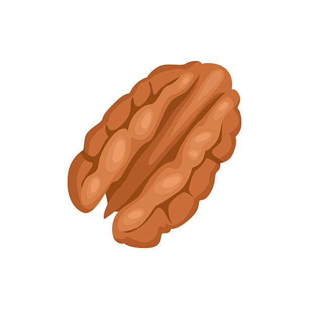 istock Pecan nut isolated on white background. Food icon. Vector cartoon flat illustration. 2207291733